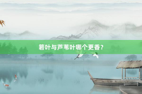 箬叶与芦苇叶哪个更香？