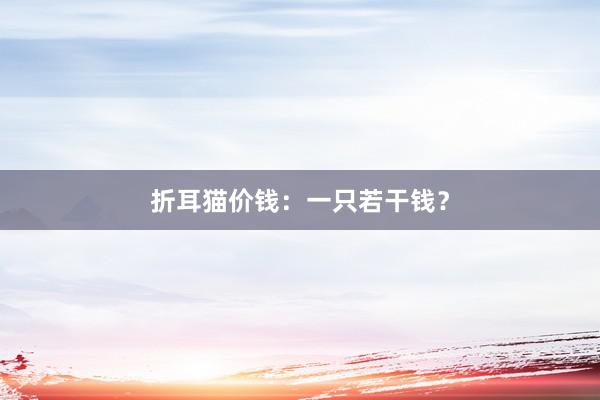 折耳猫价钱：一只若干钱？