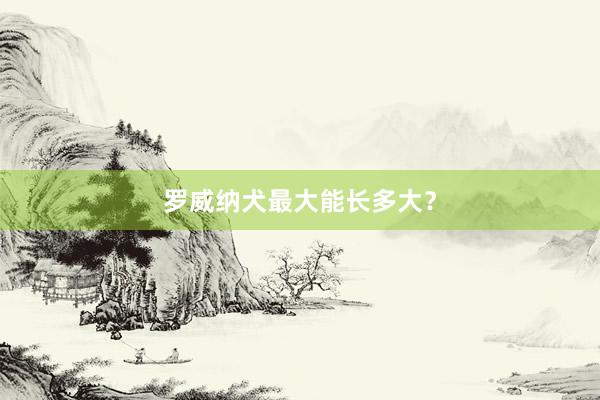 罗威纳犬最大能长多大？